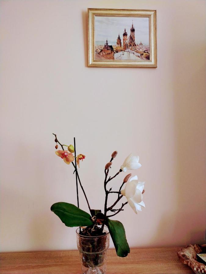 Piast Apartament Cracovia Esterno foto